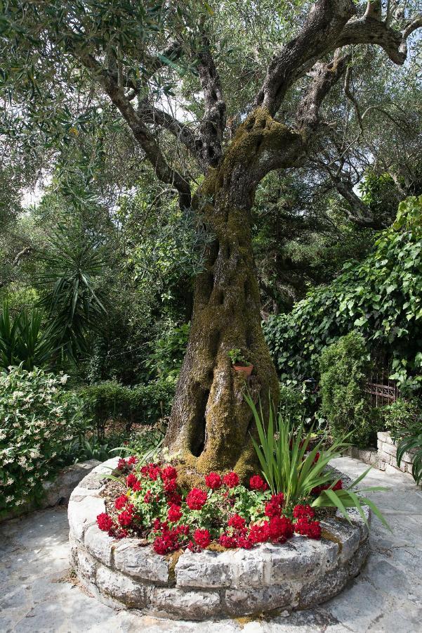 Villa Lofos Kassiopi Esterno foto