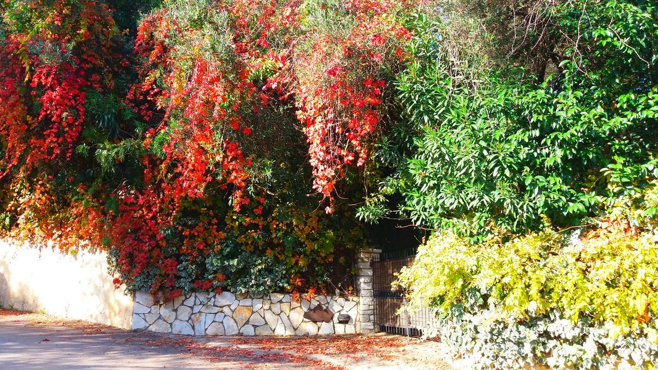 Villa Lofos Kassiopi Esterno foto